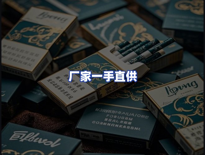 专业团队